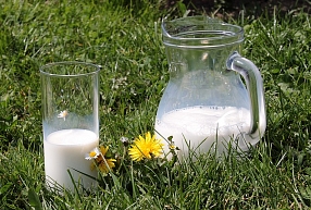 "Latgales piena" apgrozījums pērn saruka par 4,9%