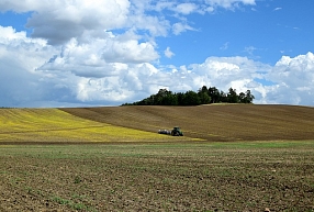 Lauksaimniecības uzņēmuma "Agrofirma Zelta Druva" apgrozījums pērn saruka par 12,3%