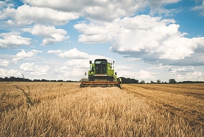 Jauktās lauksaimniecības uzņēmuma "Lielmežotne" apgrozījums pērn pieauga par 4,2%