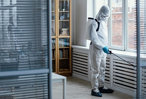 Insekti iekštelpās: kādēļ izvēlēties profesionālu dezinsekciju?