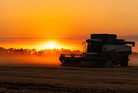 No idejas līdz realizācijai: kā Agerona palīdz atrast noietu mazāk ierastiem kultūraugiem?