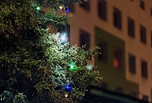 ДРБ сообщила о графике работы своих подразделений во время зимних праздников