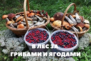 Внимание: новый опрос на портале Gorod.lv