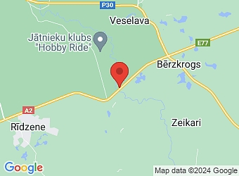  "Alejas", Veselavas pagasts, Cēsu nov., LV-4116,  Alejas, ZS