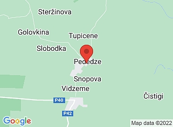  Pededze , Pededzes pagasts, Alūksnes nov., LV-4352,  Alta S, SIA, 38. veikals