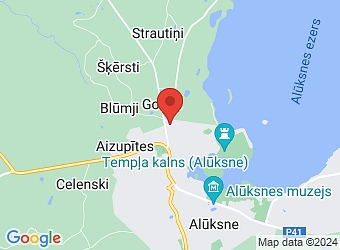  Pils 1, Alūksne, Alūksnes nov., LV-4301,  Alūksnes slimnīca, SIA