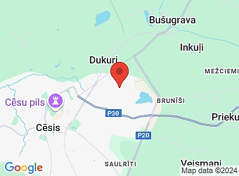  Tirgoņu 8, Cēsis, Cēsu nov., LV-4101,  ALZ IMPERIUM, SIA