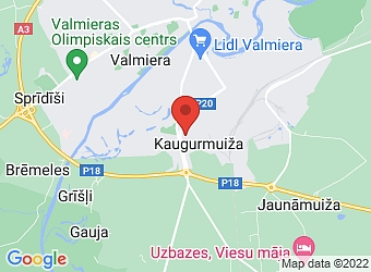  Kaugurmuiža, "Gulbīši" , Kauguru pagasts, Valmieras nov., LV-4224,  a.r.d., veikals