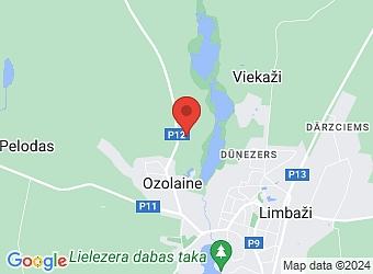  "Droģi", Limbažu pagasts, Limbažu nov., LV-4001,  Audendum, SIA