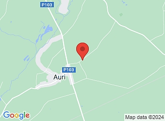  "Ziņģi", Auru pagasts, Dobeles nov., LV-3710,  Auru grauds, kooperatīvā sabiedrība