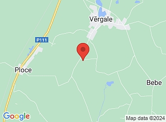  "Balgalvji", Vērgales pagasts, Dienvidkurzemes nov., LV-3463,  Balgalvji, ZS