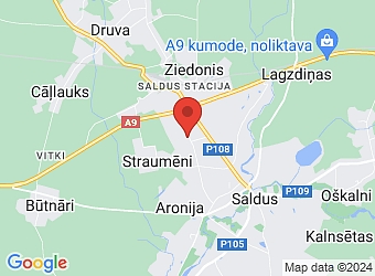  Aroniju 1, Saldus, Saldus nov., LV-3801,  BALTIC CAR INVEST, SIA
