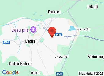  Dārza 10, Cēsis, Cēsu nov., LV-4101,  Baltic Caucasus Platform, biedrība