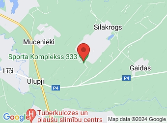  "Sila Priedes", Ropažu pagasts, Ropažu nov., LV-2133,  Baltic Ring 333, SIA