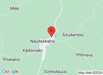  "Pagastmāja", Naudaskalns, Balvu pagasts, Balvu nov., LV-4561,  Balvu novada pašvaldība, Balvu pagasta pakalpojumu centrs