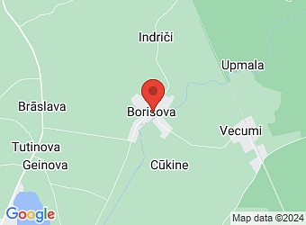  "Ābeļziedi", Borisova, Vecumu pagasts, Balvu nov., LV-4585,  Balvu novada pašvaldība, Viļakas apvienības pārvalde, Vecumu pagasta pakalpojumu centrs