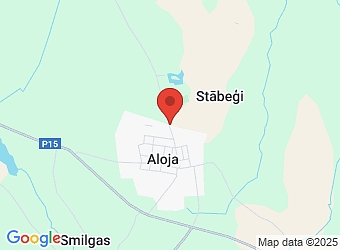 "Gaugeri", Alojas pagasts, Limbažu nov., LV-4064,  Berg electric, SIA