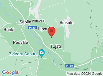  "Ķauļi", Abavas pagasts, Talsu nov., LV-3294,  Bērzi, ZS