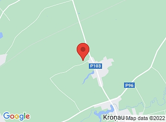  "Pogas 1", Auru pagasts, Dobeles nov., LV-3710,  BIO Auri, SIA