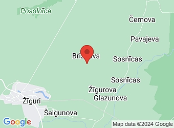  "Birzgales", Brizgova, Žīguru pagasts, Balvu nov., LV-4584,  Bitenieks Stepiņš