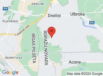  Dreiliņi, Flokšu 6, Stopiņu pagasts, Ropažu nov. LV-2130,  Bons.Balloons, SIA