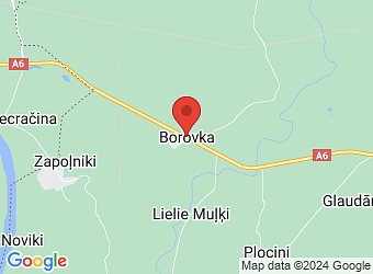  "Mediķi", Borovka, Ūdrīšu pagasts, Krāslavas nov., LV-5651,  Borovkas feldšeru un vecmāšu punkts