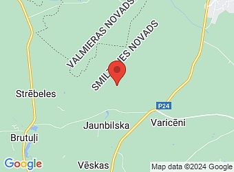  "Braslas", Smiltenes pagasts, Smiltenes nov., LV-4729,  Braslas, ZS