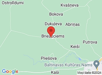  "Briežuciems", Grūšļeva, Briežuciema pagasts, Balvu nov., LV-4595,  Briežuciema pagasta Tautas nams