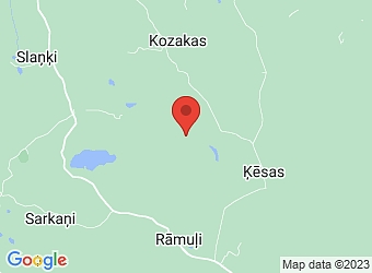  "Kalna Dumpuri", Vaives pagasts, Cēsu nov., LV-4136,  Brūvers D., klavieru skaņotājs