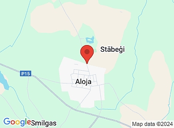  "Gaugeri", Alojas pagasts, Limbažu nov., LV-4064,  BT power service, SIA