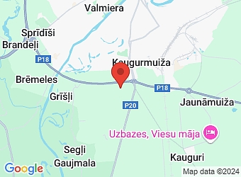  "Mucenieki", Kauguru pagasts, Valmieras nov., LV-4224,  Būvuzraudzība, IK