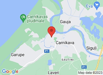  Carnikava, Zvejnieku 19-1, Carnikavas pagasts, Ādažu nov. LV-2163,  Corylus, SIA