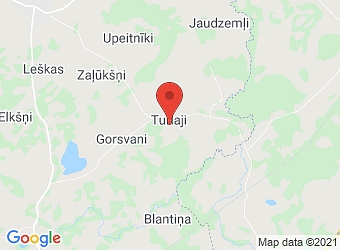  Turlaji , Ilzeskalna pagasts, Rēzeknes nov., LV-4647,  Dainas, ZS