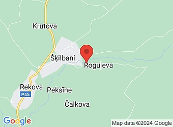  "Dauguļi", Šķilbani, Šķilbēnu pagasts, Balvu nov., LV-4587,  Dauguļi, ZS