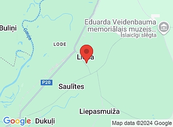  Rūpnīcas 25, Liepa, Liepas pagasts, Cēsu nov., LV-4128,  DD Mežs, SIA