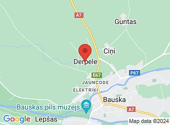  "Derpele", Codes pagasts, Bauskas nov., LV-3901,  Derpele, vispārēja tipa pansionāts