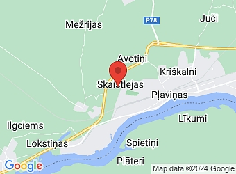  "Palejas", Klintaines pagasts, Aizkraukles nov., LV-5120,  Dezinfektors, SIA
