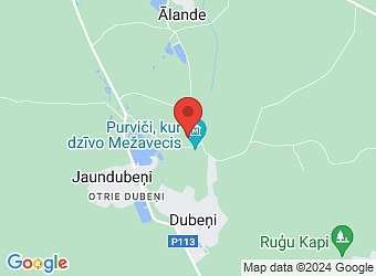  "Dižvanagi", Grobiņas pagasts, Dienvidkurzemes nov., LV-3430,  Dižvanagi, biedrība