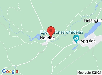  "Naudītes skola", Naudīte, Naudītes pagasts, Dobeles nov., LV-3724,  Dobeles novada pašvaldība, Naudītes pagasta pakalpojumu centrs