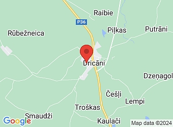  "Dricānu bērnudārzs", Dricāni, Dricānu pagasts, Rēzeknes nov., LV-4615,  Dricānu pirmsskolas izglītības iestāde