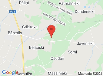  Domopole, "Druvas" , Bērzpils pagasts, Balvu nov., LV-4576,  Druvas, ZS