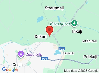  "Dūjas", Priekuļu pagasts, Cēsu nov., LV-4154,  Dūjas Services, SIA