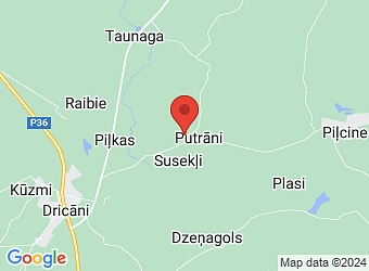  "Dzērves 9", Putrāni, Dricānu pagasts, Rēzeknes nov., LV-4615,  Dzērves, ZS