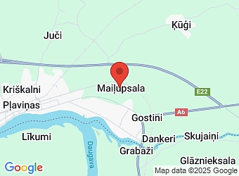  "Dzintari", Aiviekstes pagasts, Aizkraukles nov., LV-5120,  Dzintaru zirgi, biedrība