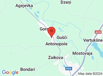  Ostrovski, Silmalas pagasts, Rēzeknes nov., LV-4630,  ED Forest, SIA