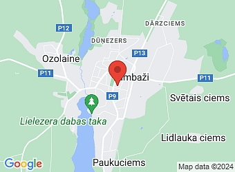  Jaunā 11A-1, Limbaži, Limbažu nov. LV-4001,  Edenta, SIA