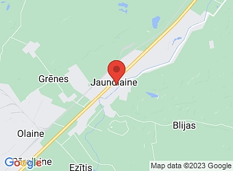  Jaunolaine, Baznīcas 3-20, Olaines pagasts, Olaines nov., LV-2127,  e-dog.lv, internetveikals