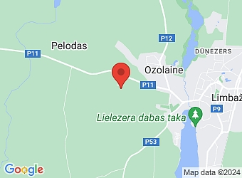  "Jaunzāģeri", Limbažu pagasts, Limbažu nov., LV-4001,  EJ COMPANY