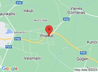  Cēsu prospekts 46A, Priekuļi, Priekuļu pagasts, Cēsu nov., LV-4126,  Fenikss Z.G., SIA