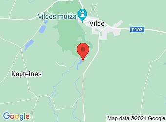  "Upenieki", Vilces pagasts, Jelgavas nov., LV-3026,  Galzemji, ZS